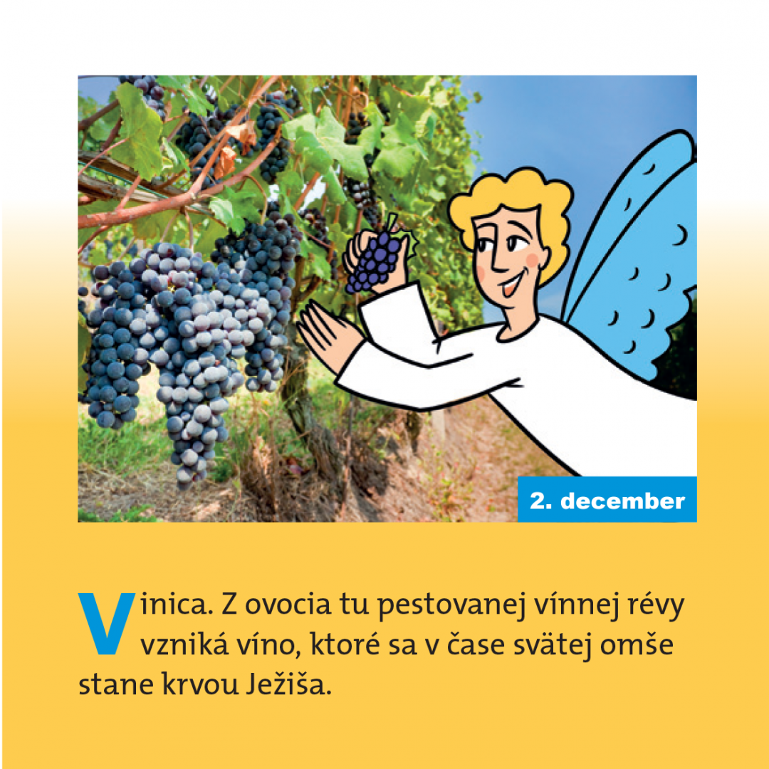 Vinica. Z ovocia tu pestovanej vínnej révy vzniká víno, ktoré sa v čase svätej omše stane krvou Ježiša. 