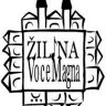 Medzinárodný festival - Voce magna